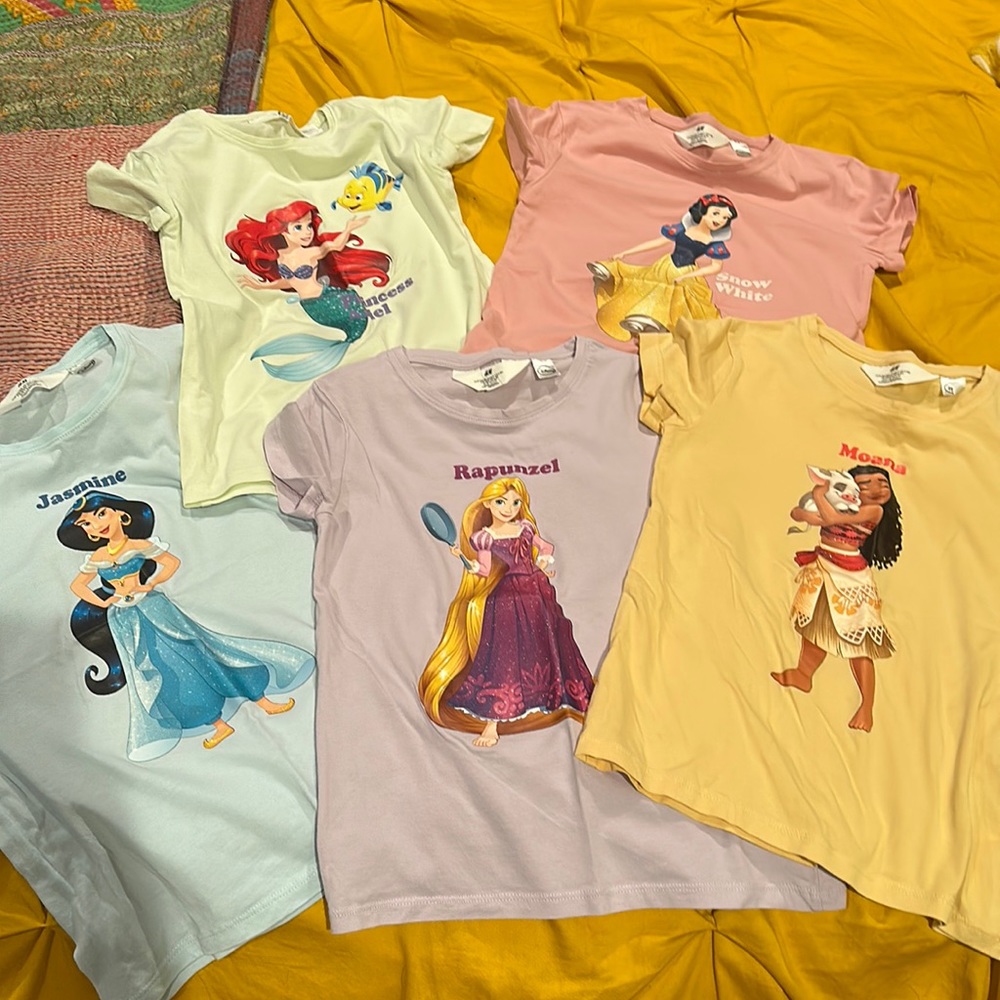 Disney princess shirt set